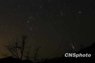 狮子星座流星雨肉眼能观测到吗 