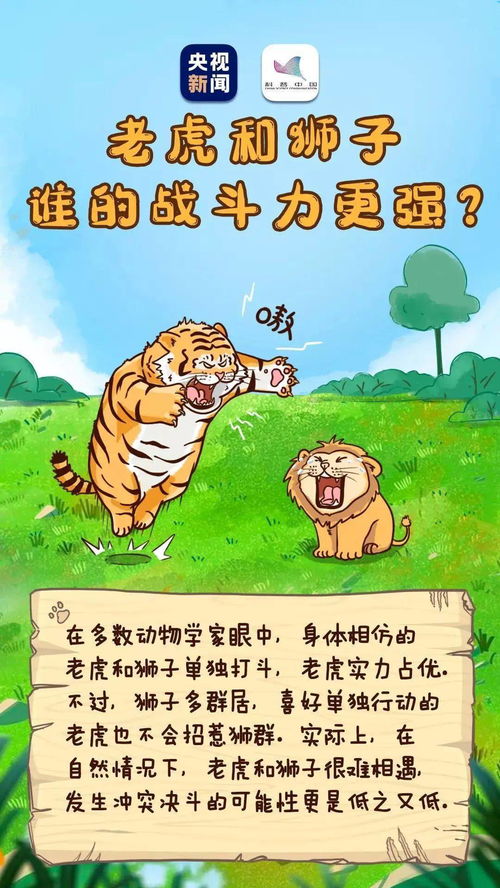 老虎能听到2000米外的声音 虎年有关老虎的这些冷知识,有必要讲给孩子听