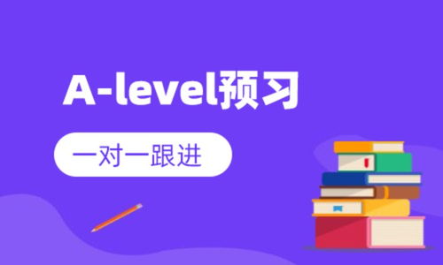 培训机构哪里好，alevel课程培训哪个好