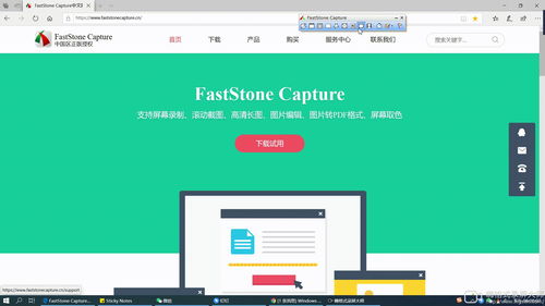 FastStone Capture