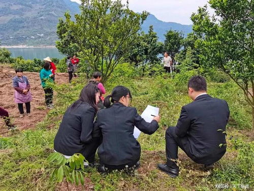 农民卖地后,以后村里重新分地,他们还能再分到地吗 看完就懂了