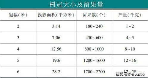 核桃树栽培技术 早实核桃树疏花疏果