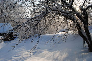 雪之诗意，雪的诗句或词语有哪些