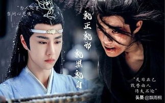 在《陈情令》里，为什么魏无羡叫蓝忘机是蓝湛，而蓝忘机叫魏婴