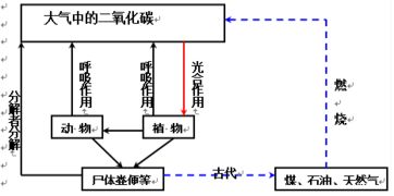 城市发展过程中.随着人口不断增加.生活污水处理越来越困难.如何科学有效地处理生活污水.成为城市发展亟待解决的问题.建立人工湿地公园是一种首选方案.可以获得生态 