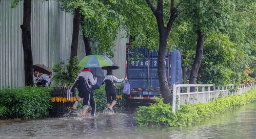 关于雨天江河的诗句