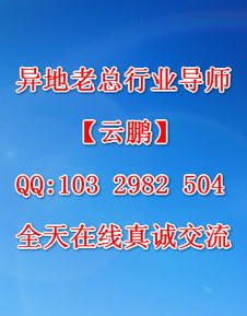 宁夏人力资源，西部大开发是什么?是国家行为吗？合法吗？