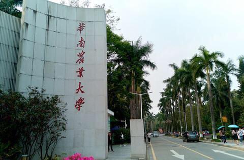 广东师范大学(广东十大师范大学排名)