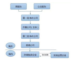 请教境外上市履行的审核程序