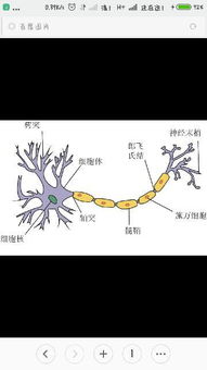 怎样分辨什么是生物