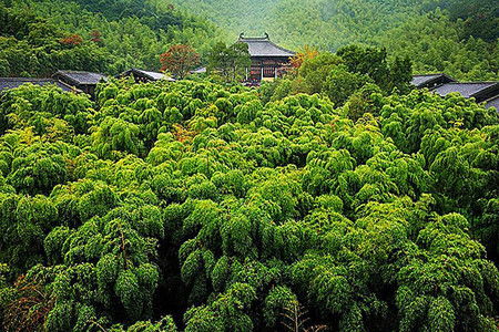 仙山湖国家湿地公园 大唐贡茶院 金钉子远古世界等多个景点,门票自选 出发 途牛 