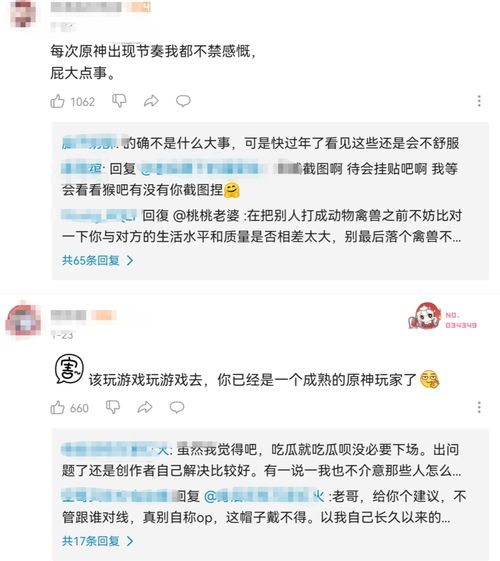 up主是什么意思