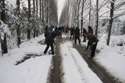 梦见扫雪是什么意思,什么征兆 周公解梦 