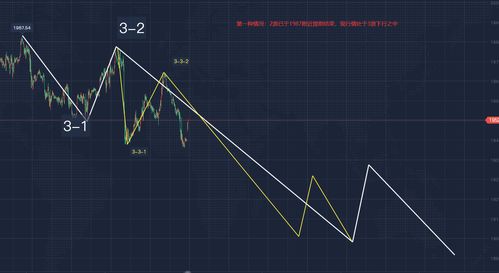 空方尖兵的形态特征有哪些 注意这几点