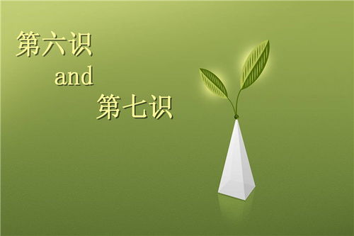 第六识与第七识有什么区别 