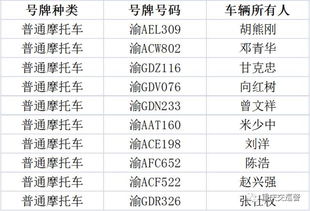 交通违法未处理超10条以上的车辆将被拦停查处