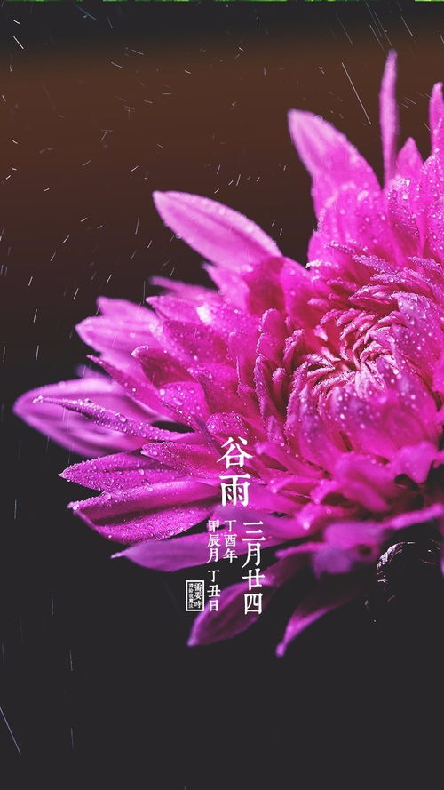 清明到谷雨钓鱼好钓吗