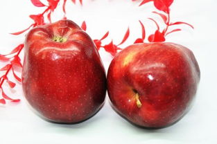 林檎和苹果是什么关系 是同一种水果吗 有什么区别 