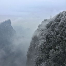 冬之韵，有关冬天的词语编织的冰雪画卷，有关冬天的词语四字词语