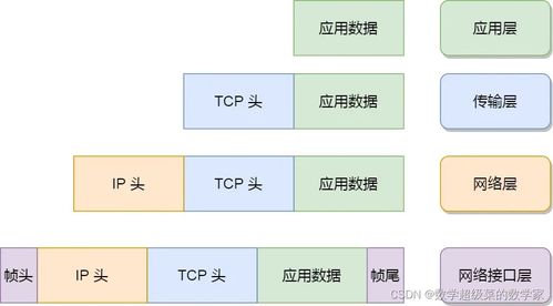 TCP IP基础知识笔记