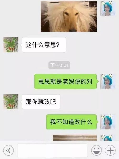 因为一个微信头像,我妈把我拉黑了