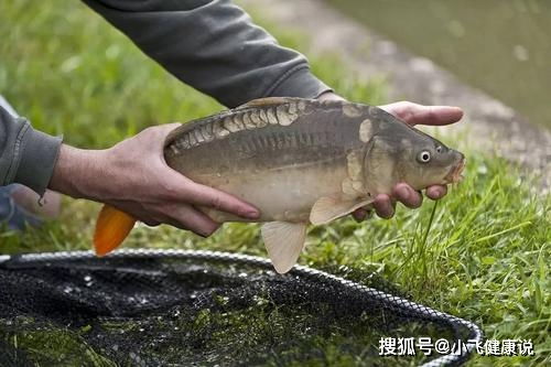 经常吃咸鱼,会导致鼻咽癌 除了咸鱼以外,还有4种鱼要少吃