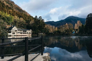 日本冲动之旅 车展 迪士尼 嬉野温泉 