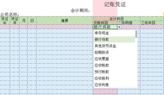 公司的交来的股金会计凭证中总科目和明细科目怎么写