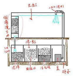 我家鱼缸是底滤的,下面的循环箱里都放什么 过滤棉和生化棉 是怎么回事 怎么放 