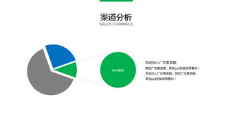 简约大气公司团队创业方案介绍ppt模板