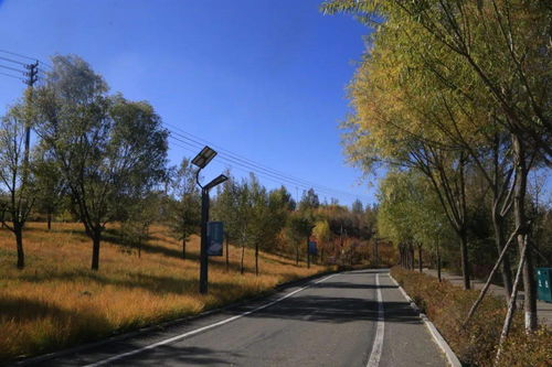 赏秋景 品 野 趣 各种特色项目都为您而来