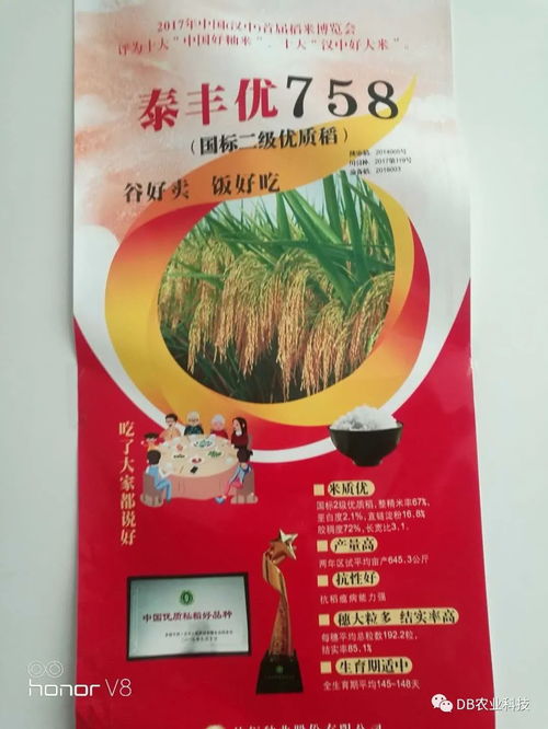 粮食涨价已定。未来五年粮食价格会翻倍吗