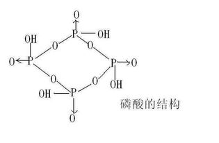 碳酸饮料不能喝, 碳酸饮料到底是如何伤害肾脏的