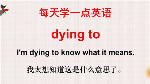 学英语 老外说的dying to啥意思 一起来学习今天的英语 