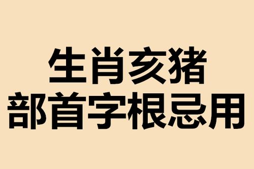 干货分享 生肖猪忌用部首字根 起名第二步 