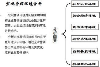 如何进行市场营销环境的案例分析 