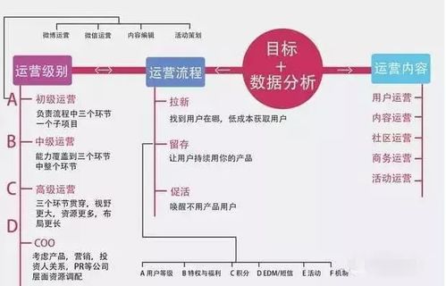 小白怎么写新媒体自媒体的运营sop设计建立策划流程系统体系方案