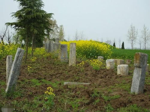 农村老家房屋旁边50米内有人新建了坟墓,该怎么处理 你怎么看