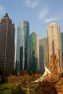 地标性建筑的集聚点 上海浦东