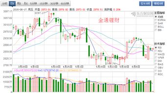 怎么查看证券公司股票开户情况