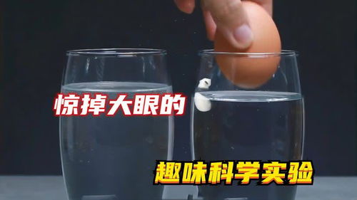 在一杯水中放几勺食盐,就能让鸡蛋浮起来,这是真的吗 