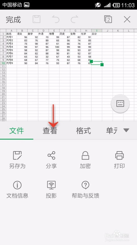 手机WPS Office表格如何使用筛选功能