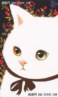 我很喜欢jetoy猫,想要jetoy猫咪的图片或者壁纸,谁知道在哪能下载到 