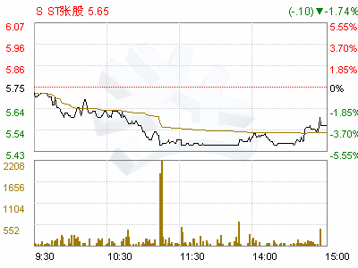 sst张股的SST是表示什么