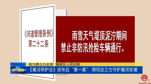 黄河保护法 颁布后 第一案 用司法之力守护黄河安澜