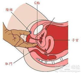 阴道痉挛什么症状