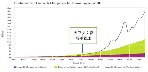 大卫.史文森:耶鲁模式投资组合