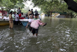 印度南部洪水肆虐 市民游泳逃离灾区