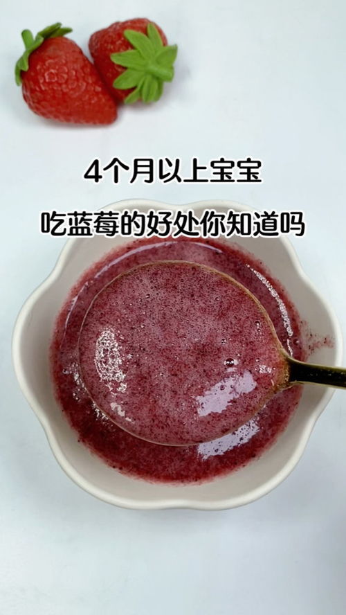 小宝贝蓝莓能不能吃(蓝莓宝宝能吃蓝莓吗)