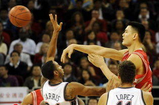 10月13日nba直播视频在线观看